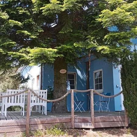 Apartamento 2 Personen Hund Willkommen By Interhome *